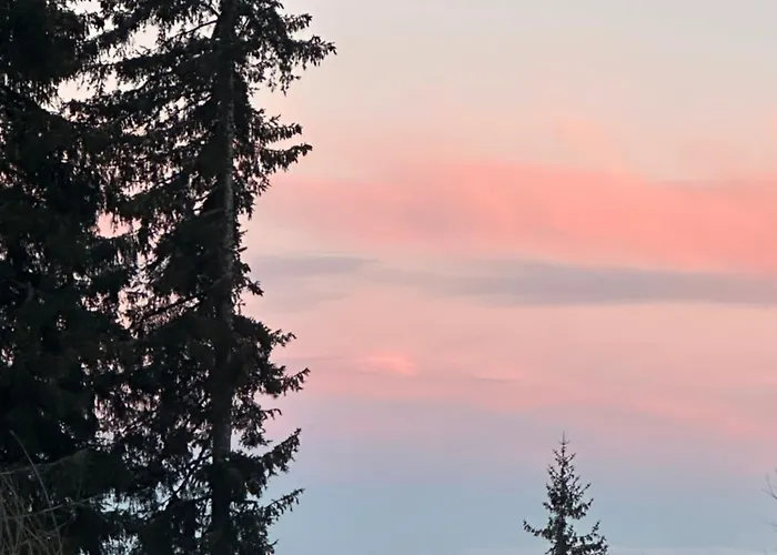 Apartment Grand B19 Pamporovo